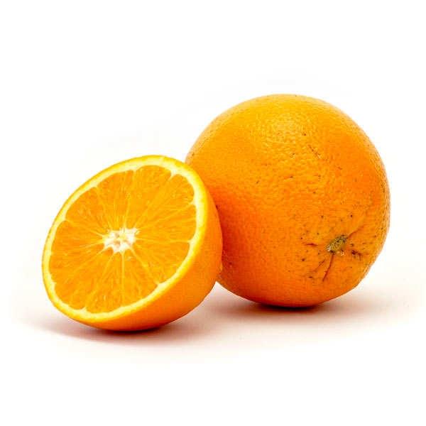 Premium Organic Orange, Spain, 1Kg