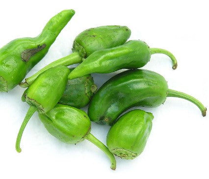 FRESH Padron Peppers, 1Kg