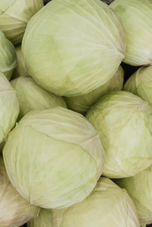 FRESH Cabbages, 1.5 to 2 Kg (1 Pc)