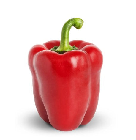 FRESH Red Capsicums, 500g (2 to 4 Pcs)