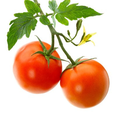 FRESH Vine Tomatoes, 1Kg (5 to 8 Pcs)